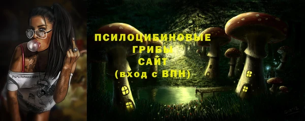 дмт Алексеевка