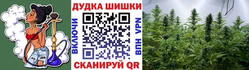 МАРИХУАНА индика  Починок 